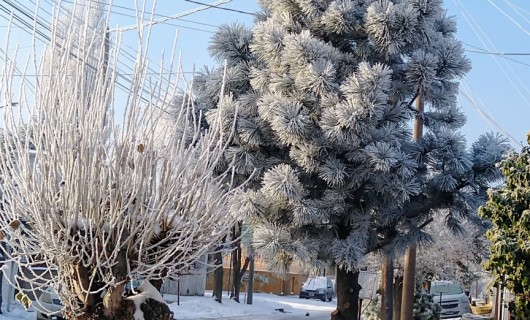 Un Paisaje De Ensueno En Este Invierno Tnriogallegos Com Rio Gallegos Rio Gallegos